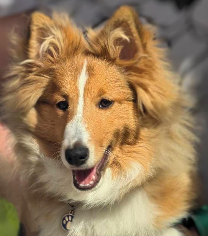 Carterwolfboy uploaded   1 year/s ago