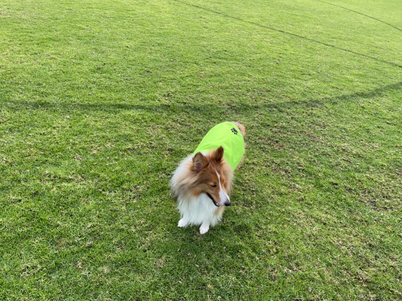 Carterwolfboy uploaded   270  day/s  ago