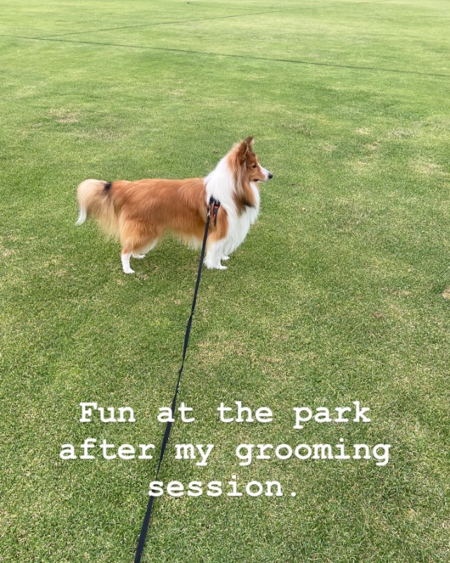 Deacon of the Carterwolfboy family