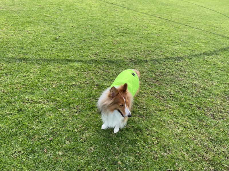 Carterwolfboy uploaded   268  day/s  ago