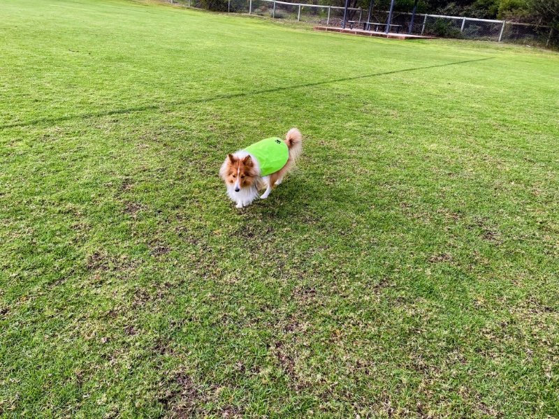 Carterwolfboy uploaded   270  day/s  ago