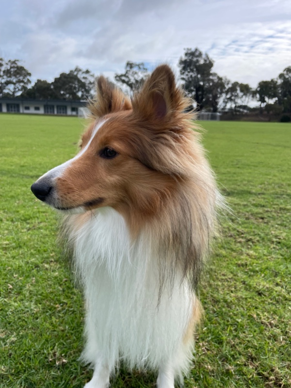 Carterwolfboy uploaded   270  day/s  ago