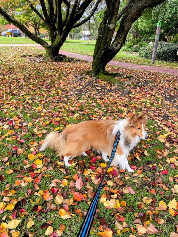 Carterwolfboy uploaded   268  day/s  ago