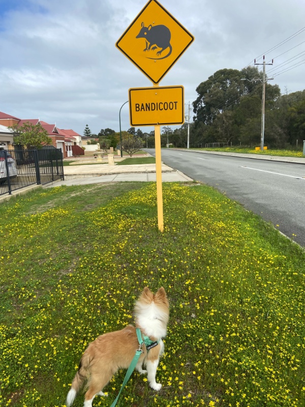 Carterwolfboy uploaded   270  day/s  ago