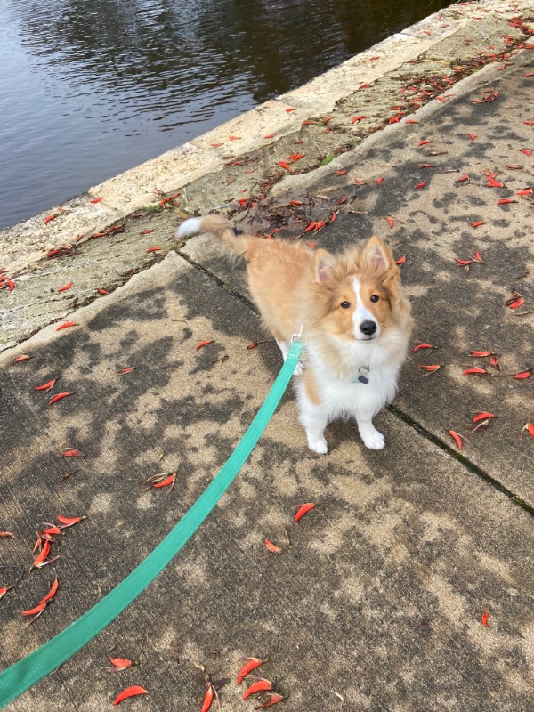 Carterwolfboy uploaded   270  day/s  ago