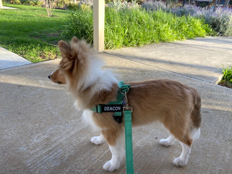 Carterwolfboy uploaded   270  day/s  ago