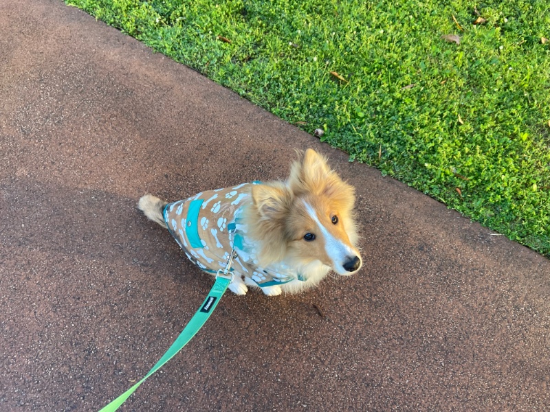 Carterwolfboy uploaded   270  day/s  ago