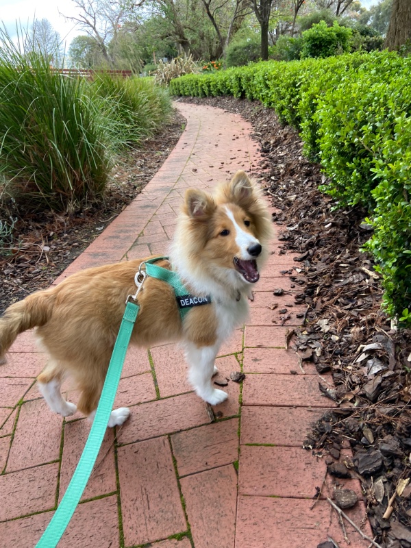 Carterwolfboy uploaded   270  day/s  ago