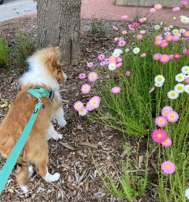 Carterwolfboy uploaded   270  day/s  ago