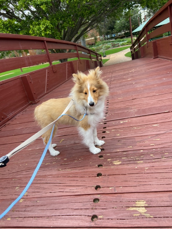 Carterwolfboy uploaded   270  day/s  ago