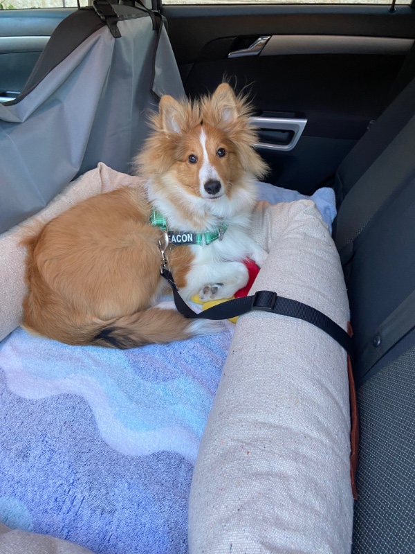 Carterwolfboy uploaded   270  day/s  ago