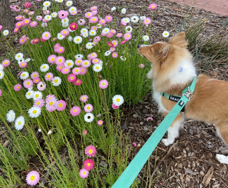 Carterwolfboy uploaded   270  day/s  ago