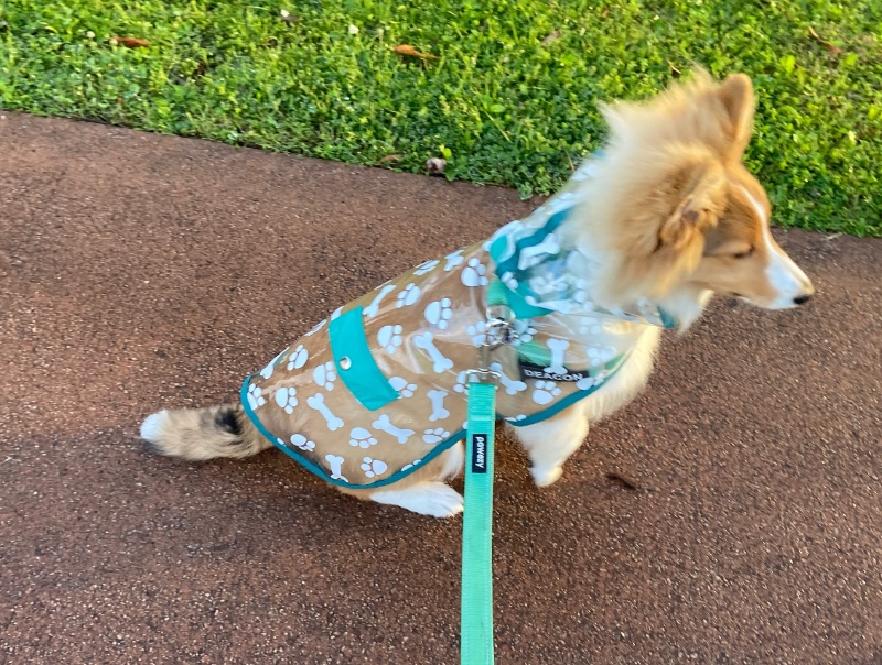 Carterwolfboy uploaded   270  day/s  ago