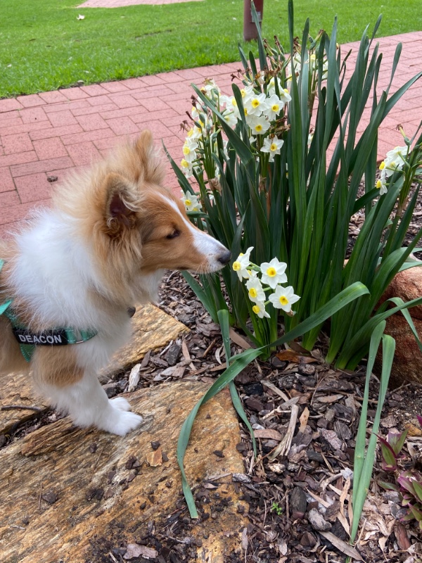 Carterwolfboy uploaded   270  day/s  ago