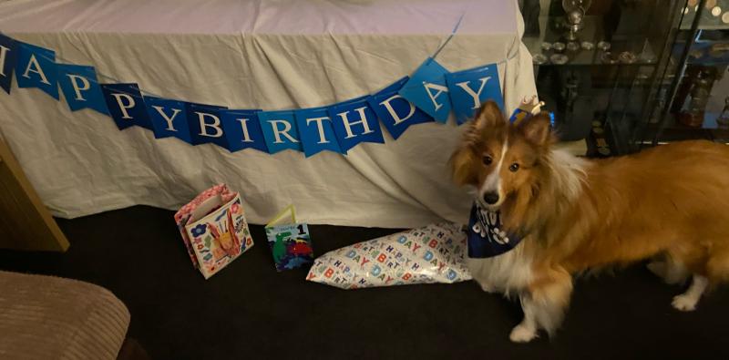 Carterwolfboy uploaded   1 year/s ago