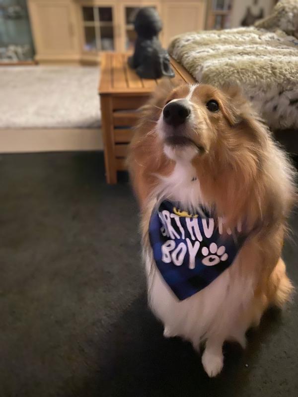 Carterwolfboy uploaded   1 year/s ago