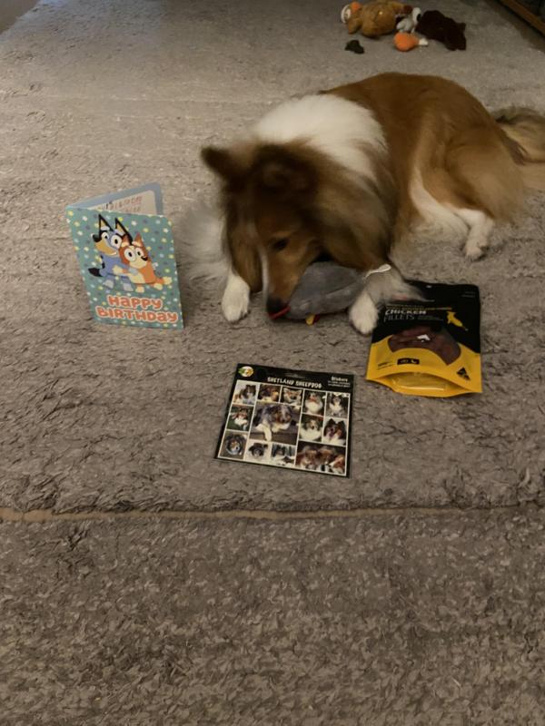 Carterwolfboy uploaded   1 year/s ago