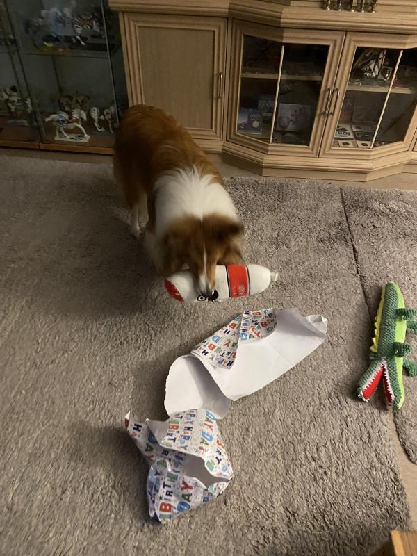 Carterwolfboy uploaded   1 year/s ago