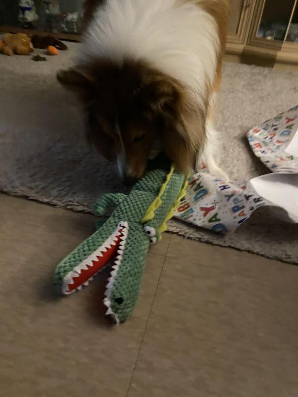 Carterwolfboy uploaded   1 year/s ago