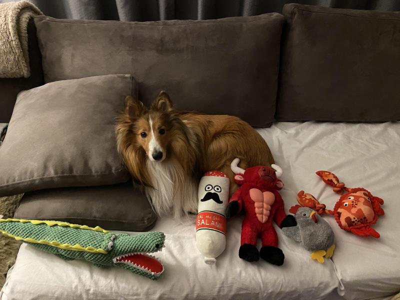 Carterwolfboy uploaded   1 year/s ago