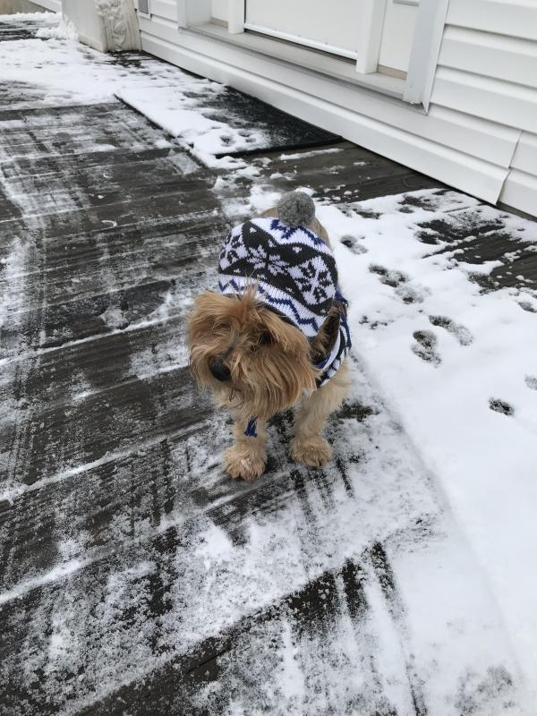 Chance uploaded   1 year/s ago