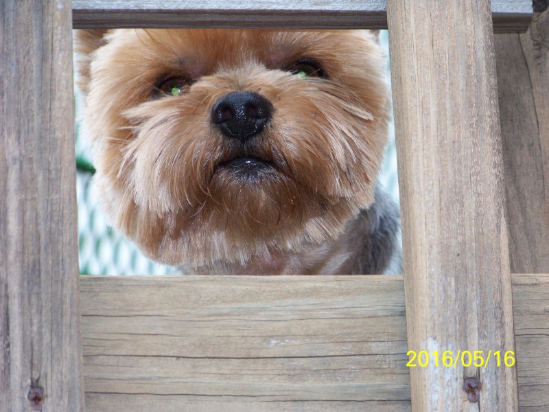 Chance uploaded   3 year/s ago