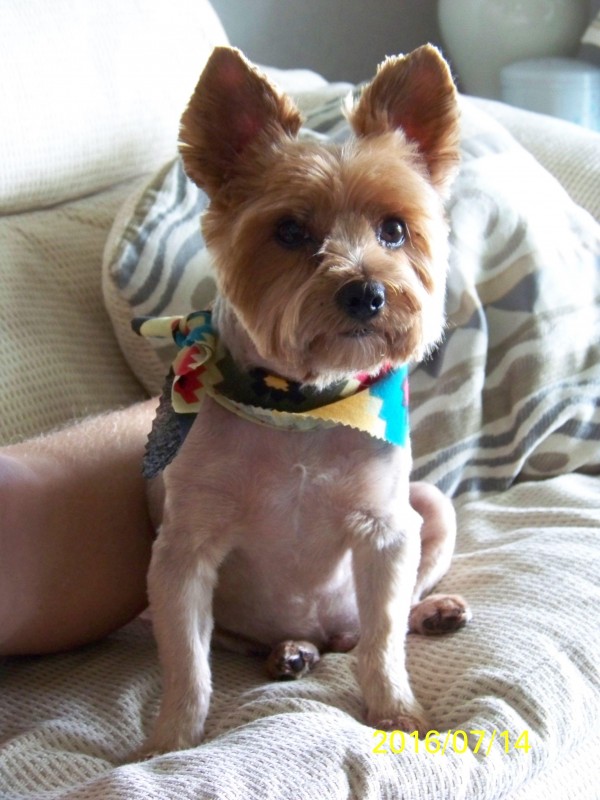 Chance uploaded   3 year/s ago