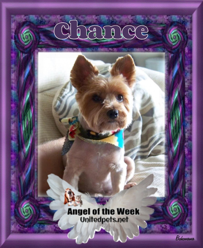 Chance uploaded   1 year/s ago