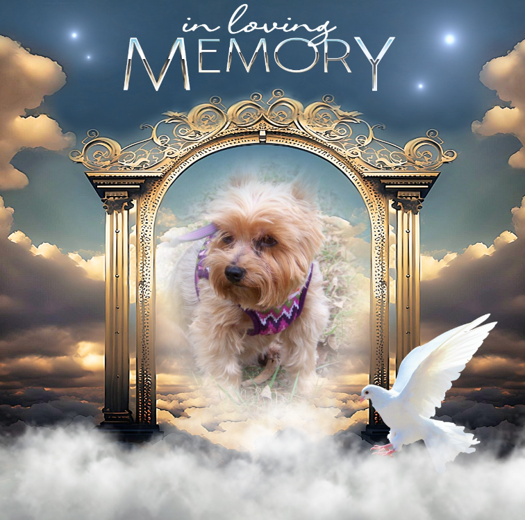 Chance of the Chance family