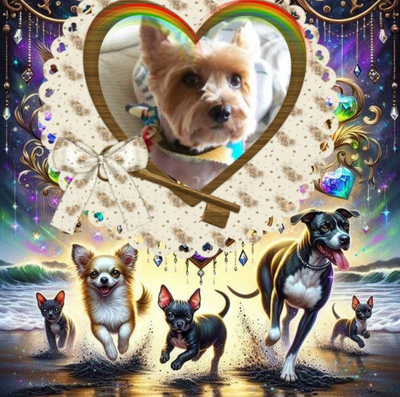 Chance of the Chance family