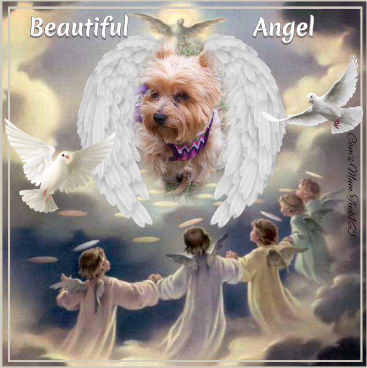 Chance of the Chance family