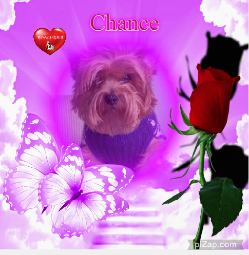 Chance uploaded   197  day/s  ago