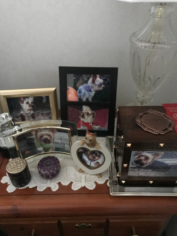 Chance uploaded   271  day/s  ago