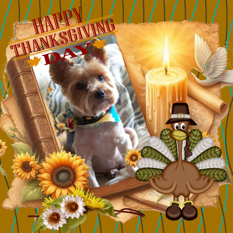 Chance of the Chance family