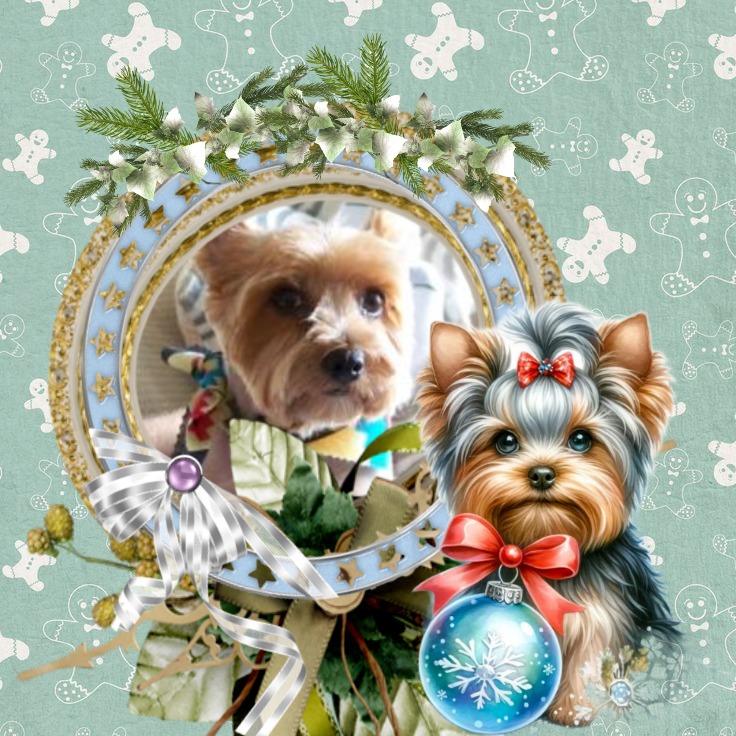 Chance of the Chance family