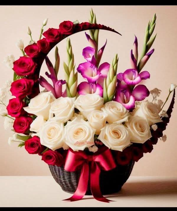 Chance of the Chance family