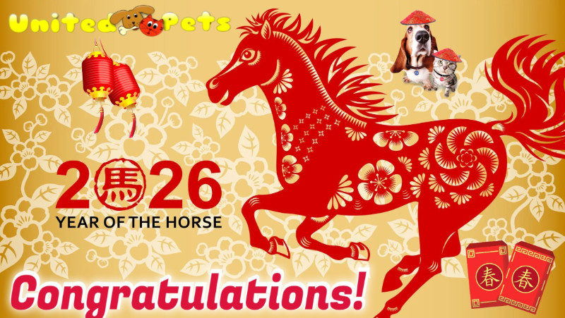 Chance of the Chance family