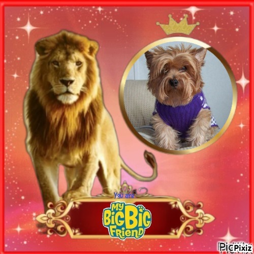 Chance of the Chance family