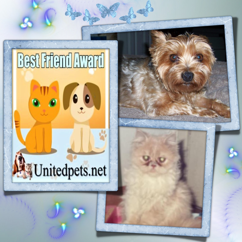 Chance uploaded   91  day/s  ago