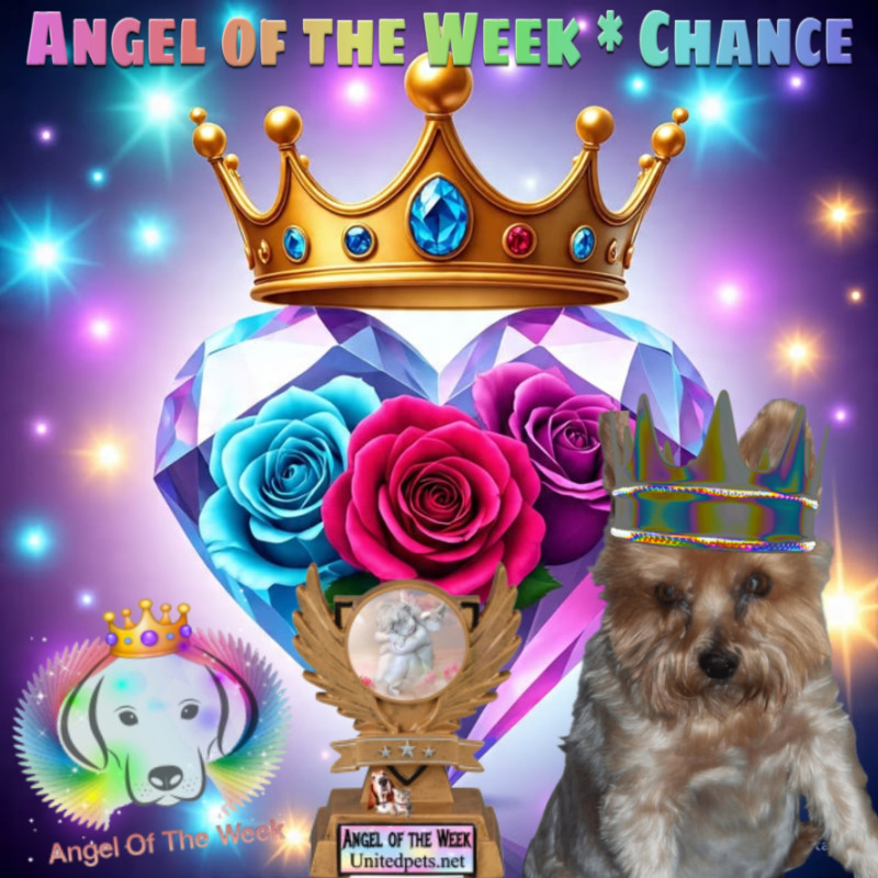 Chance of the Chance family