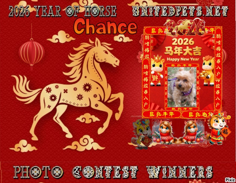 Chance of the Chance family