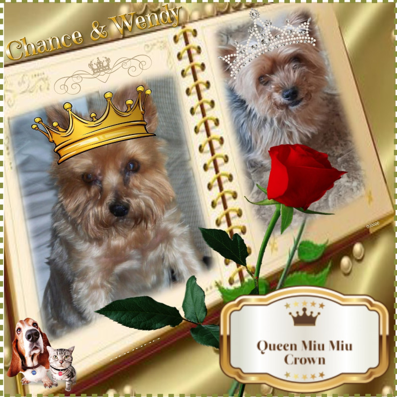 Chance of the Chance family