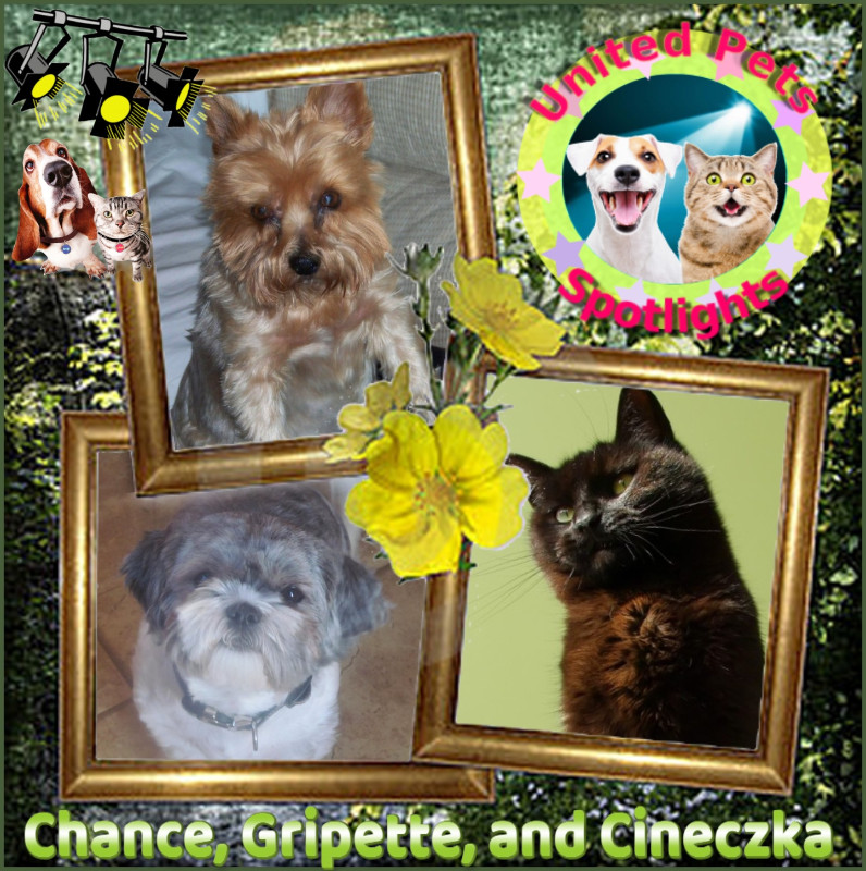 Chance of the Chance family