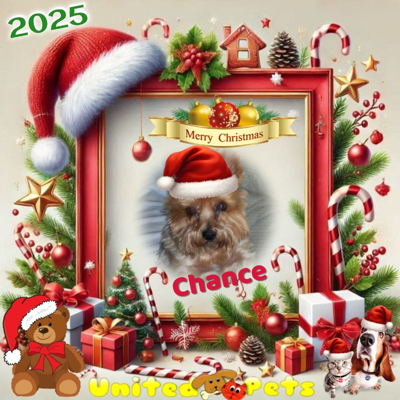 Chance of the Chance family