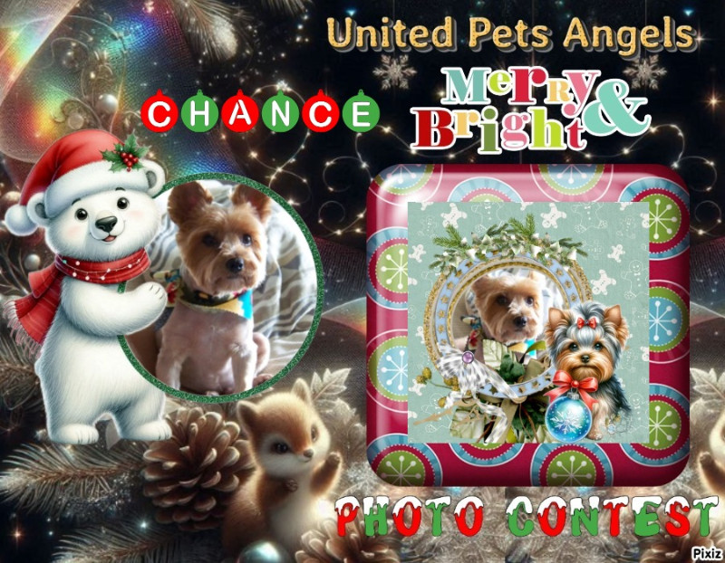 Chance of the Chance family