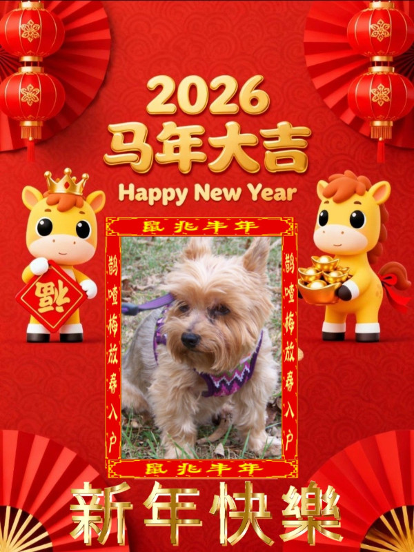 Chance of the Chance family