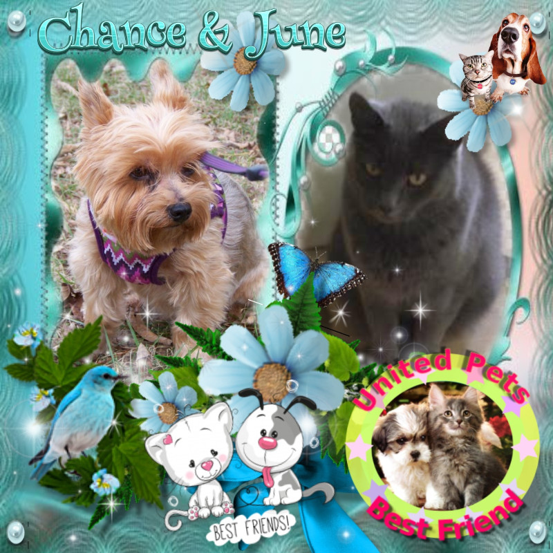 Chance of the Chance family