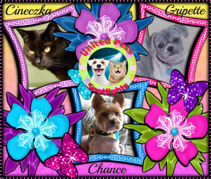 Chance of the Chance family