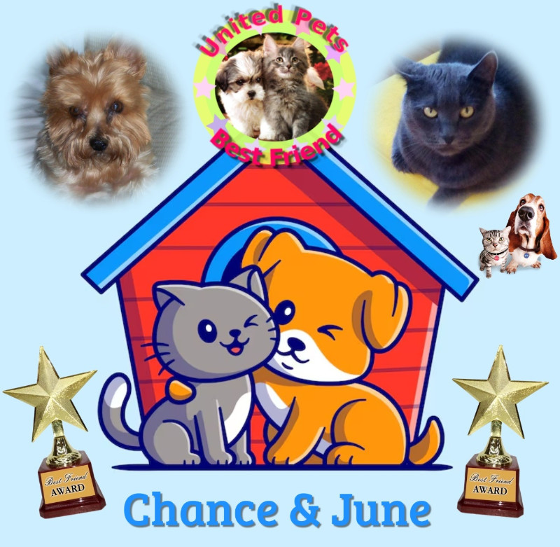 Chance of the Chance family
