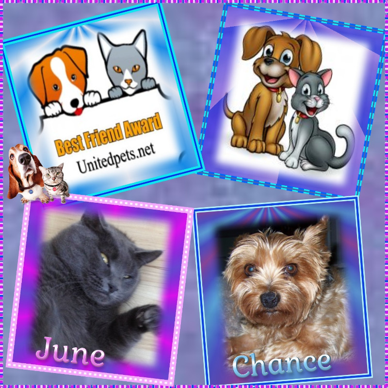 Chance of the Chance family